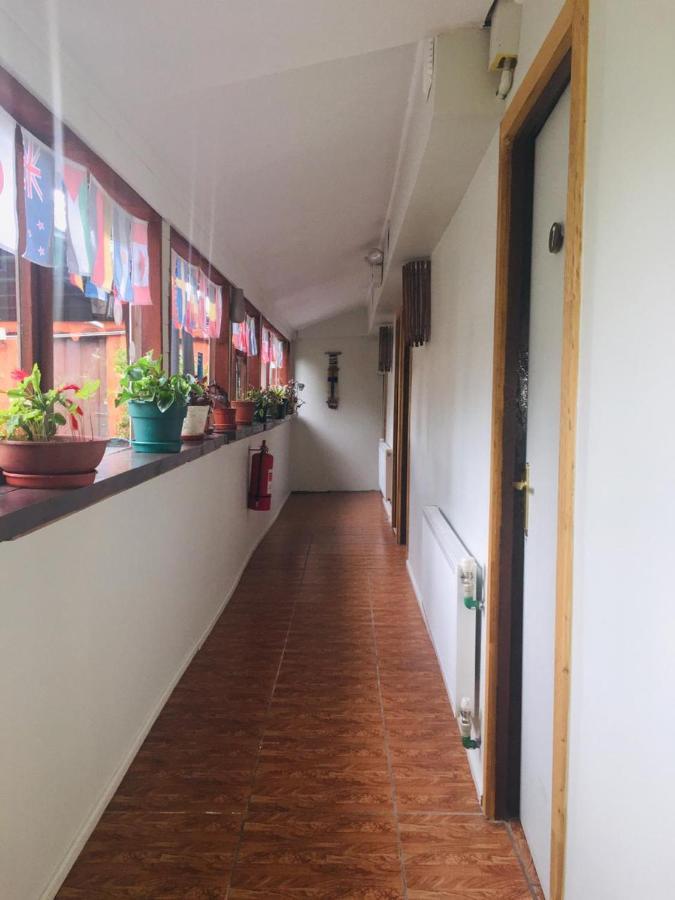 Hospedaje Irma Backpackers Pucón Zewnętrze zdjęcie