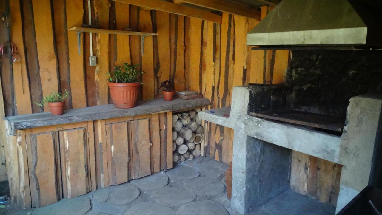 Hospedaje Irma Backpackers Pucón Zewnętrze zdjęcie